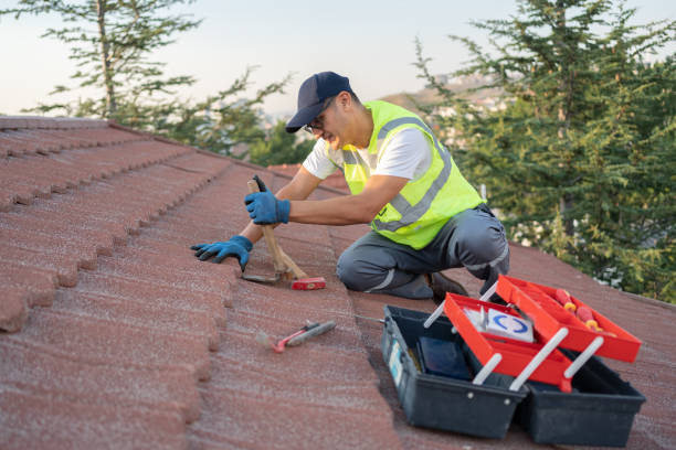 Best Roof Gutter Cleaning  in Glenville, CT